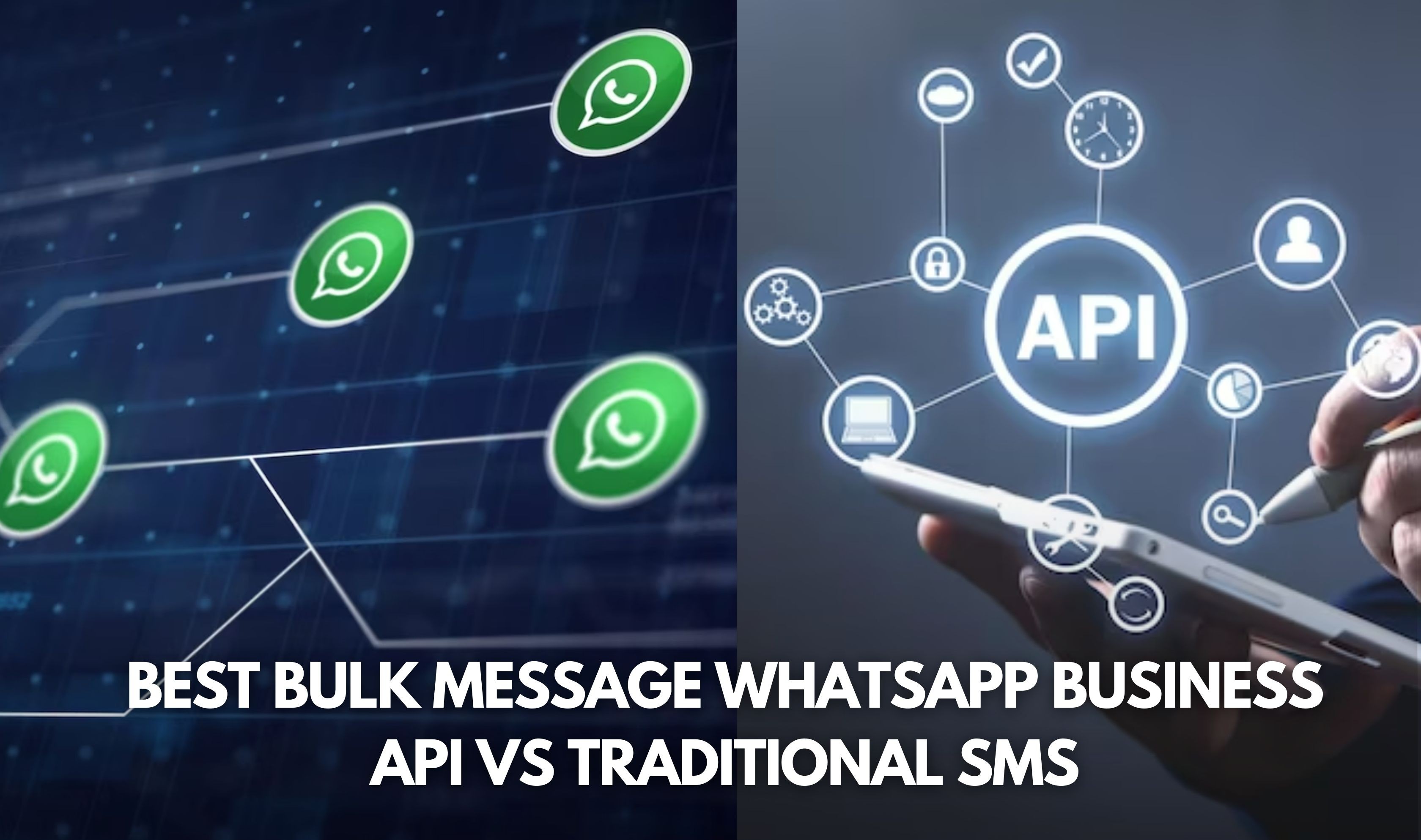 Best Bulk Message WhatsApp Business API vs Traditional SMS